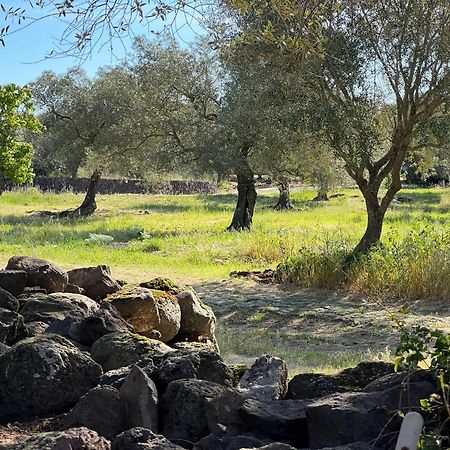 Muristene Pozzo Santa Cristina Paulilatino Bagian luar foto