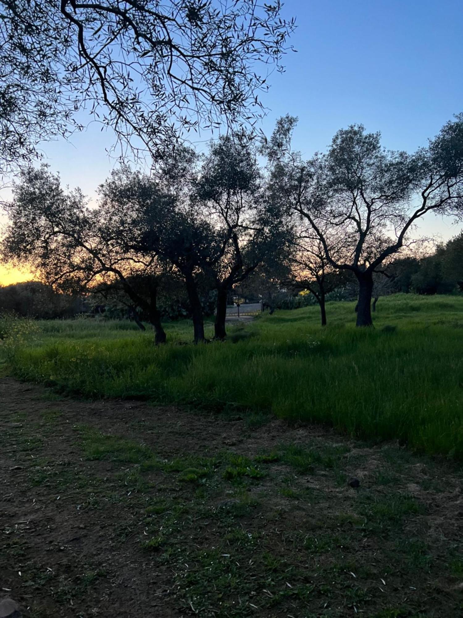 Muristene Pozzo Santa Cristina Paulilatino Bagian luar foto