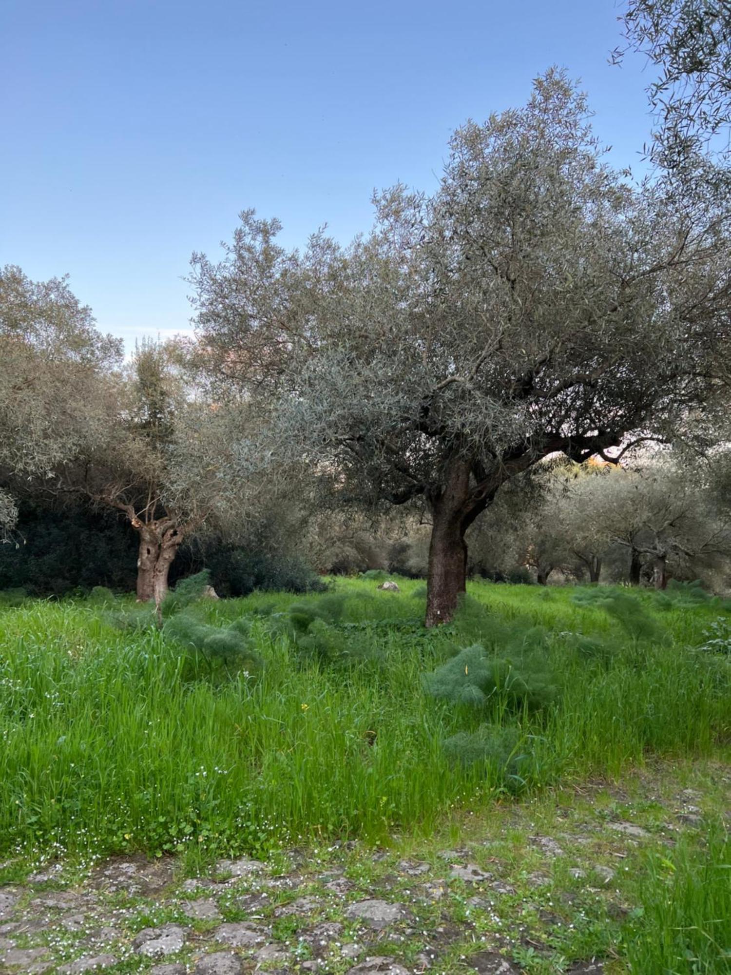 Muristene Pozzo Santa Cristina Paulilatino Bagian luar foto