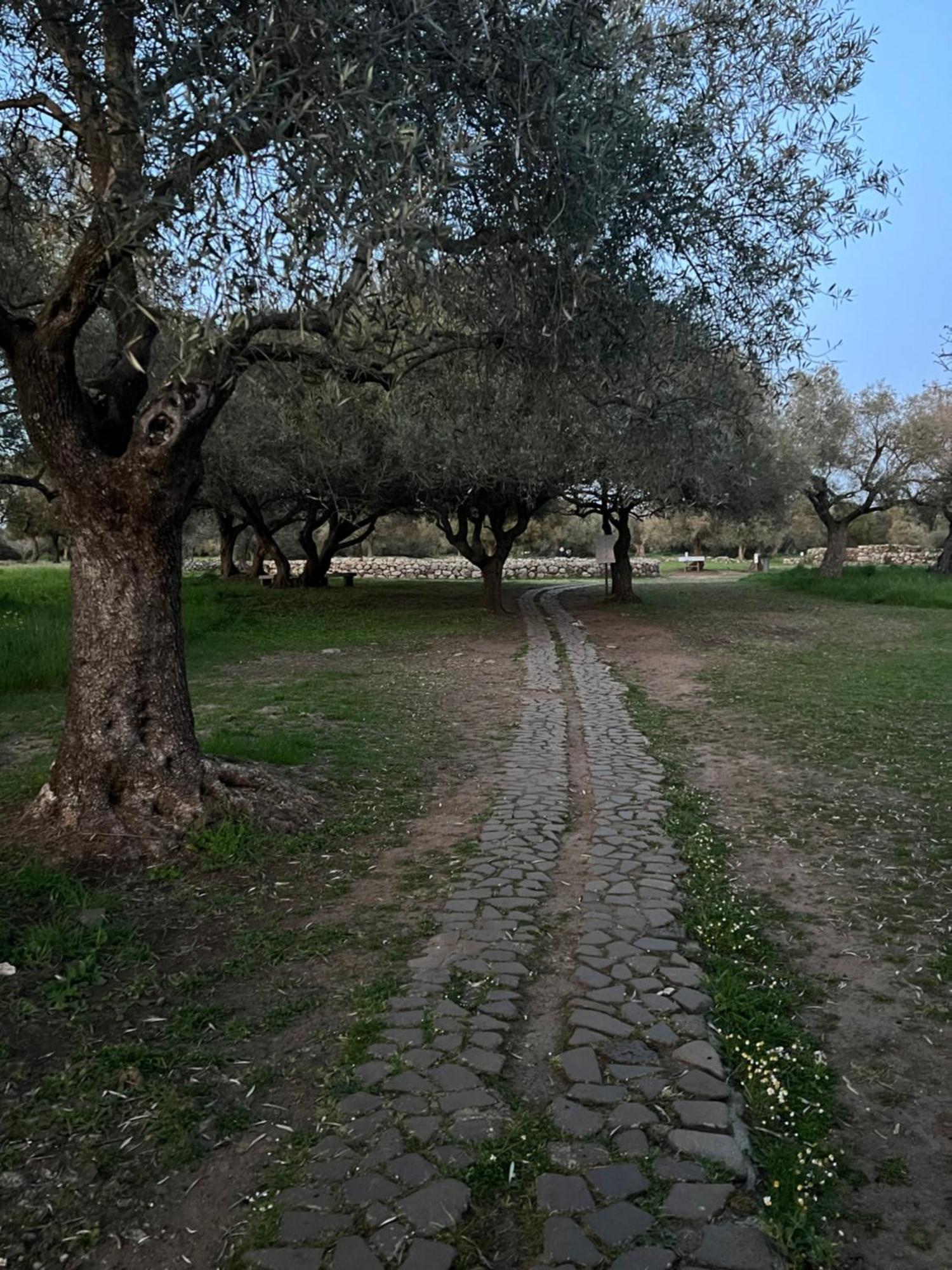 Muristene Pozzo Santa Cristina Paulilatino Bagian luar foto