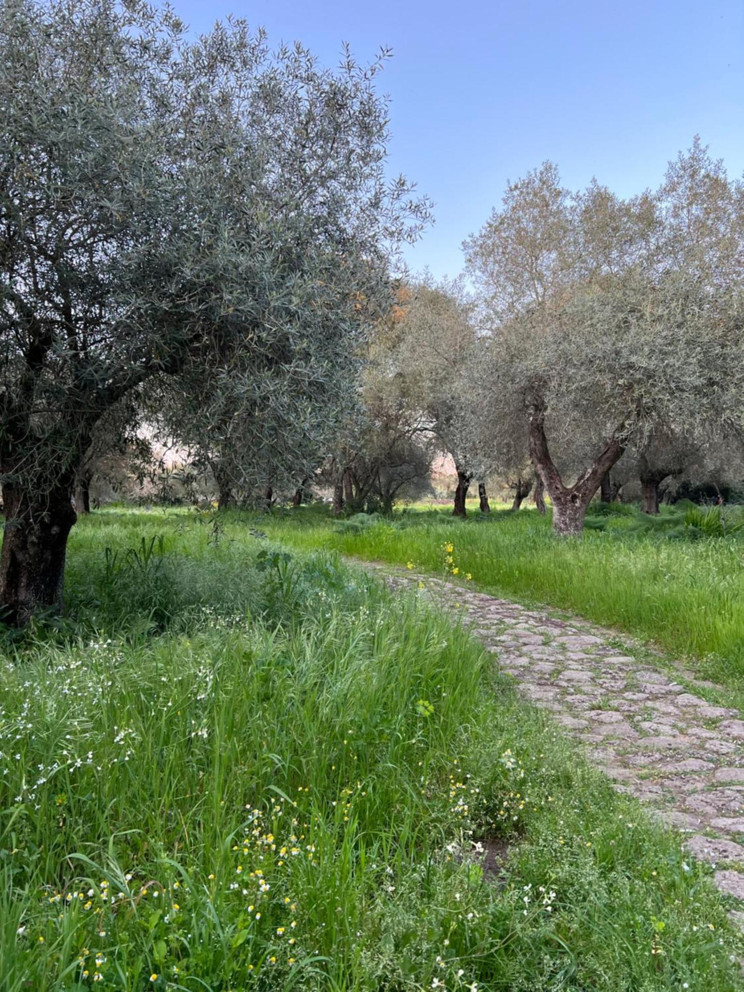 Muristene Pozzo Santa Cristina Paulilatino Bagian luar foto