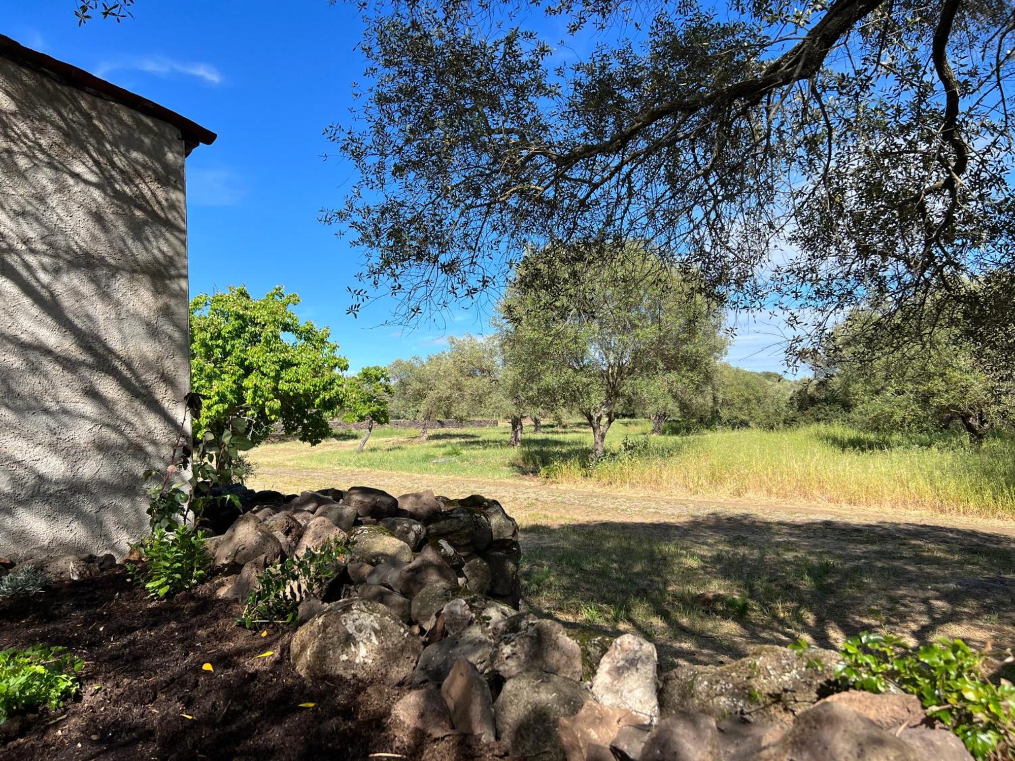 Muristene Pozzo Santa Cristina Paulilatino Bagian luar foto